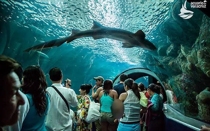 Acuario de Veracruz